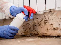 Best Mold Damage Restoration  in Ripon, CA